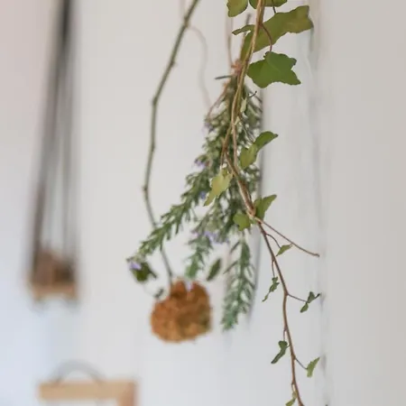 Hotel Orias & Farm Kalavryta