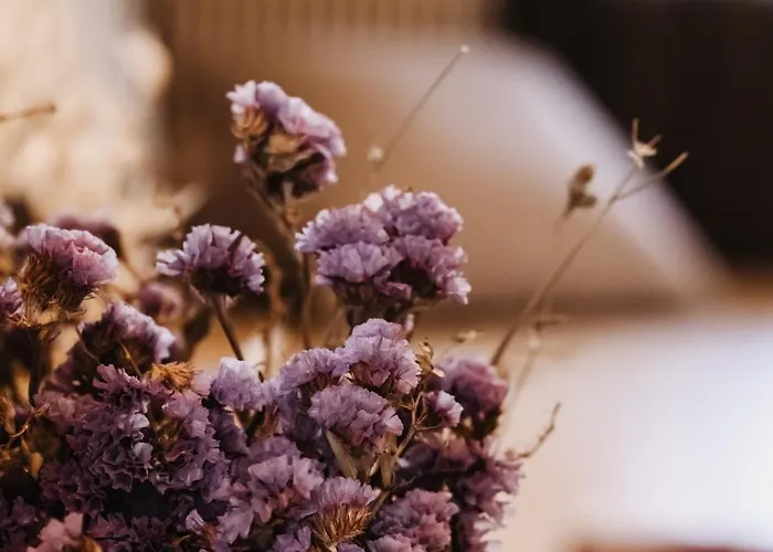 Otel Orias & Farm 3*