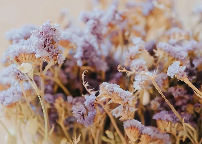 Otel Orias & Farm 3*