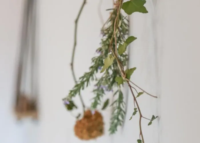 Otel Orias & Farm Kalavryta