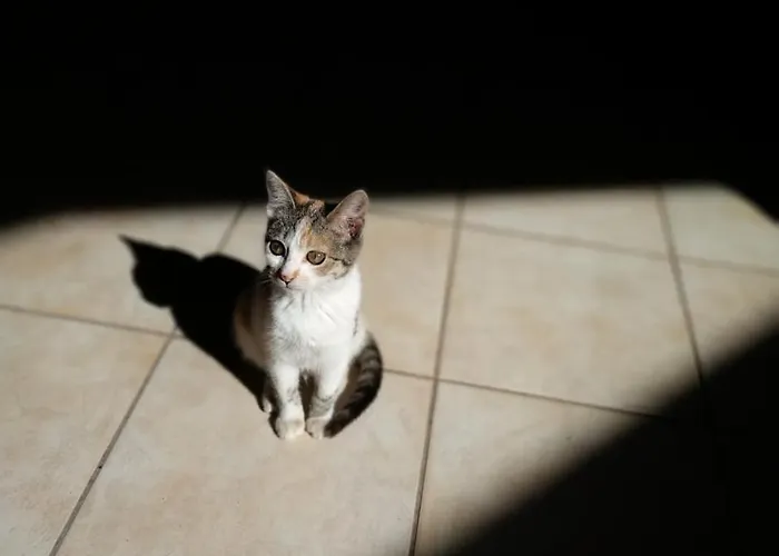 מלון Orias & Farm 3*