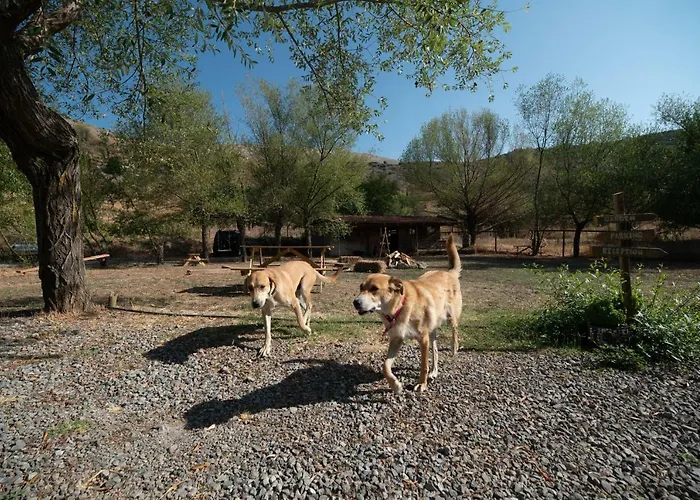 Orias & Farm Otel Kalavryta