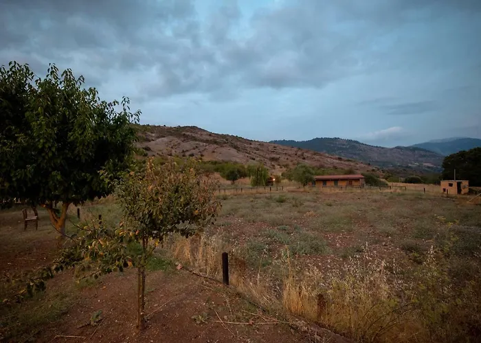 Orias & Farm מלון 3*